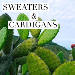 Sweaters & Cardigans